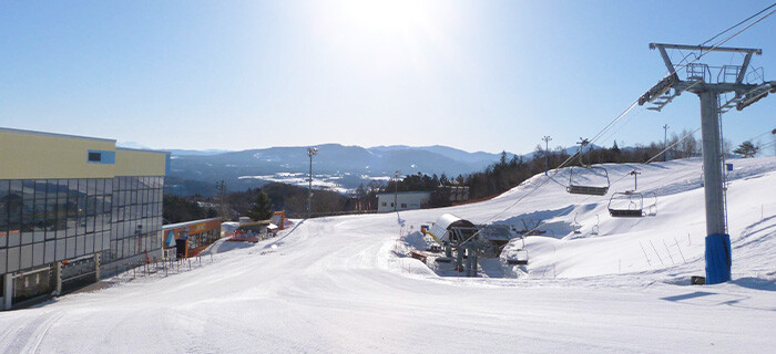 ダイナランド スキー場情報 スキー市場