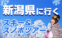 【ピックアップ】新潟県に行くスキーツアー