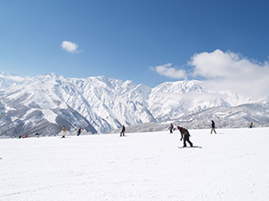 白馬岩岳スノーフィールド