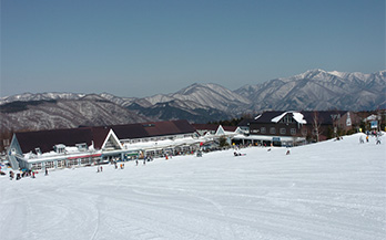 関東近郊のスキー場 マイカーで行くスキー スノボーツアー スキー市場