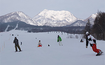 新潟県のスキー場 マイカーで行くスキー スノボーツアー スキー市場
