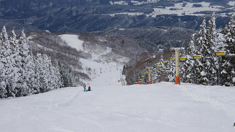 ホワイトピア高鷲 800x450