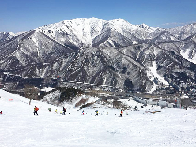 Mt.Naeba（苗場・かぐら） JR新幹線で行くスキーツアースノボツアー